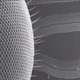 Illustration for article titled The new music video from The Books’ Nick Zammuto was filmed entirely on microscopes
